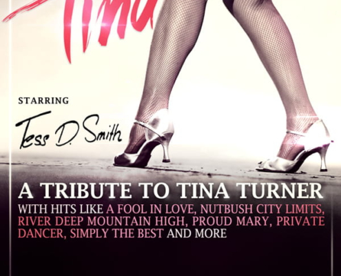 Plakatmotiv für The Soul of Tina Tributeshow zu Tina Turner in Bremen im Metropol Theater