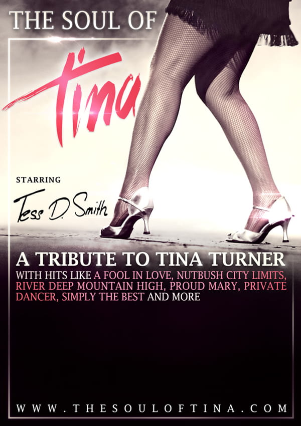 Plakatmotiv für The Soul of Tina Tributeshow zu Tina Turner in Bremen im Metropol Theater