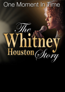 Eventbild_600x850px Eventbild für One Night of Tina im Metropol Theater Bremen