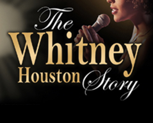 Eventbild für One Night of Tina im Metropol Theater Bremen