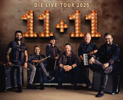 Plakatmotiv für Konzert von HÖHNER mit der Live Tour 2025 11+11 im Metropol Theater in Bremen